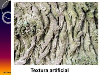 Textura artificialTEXTURA
 
