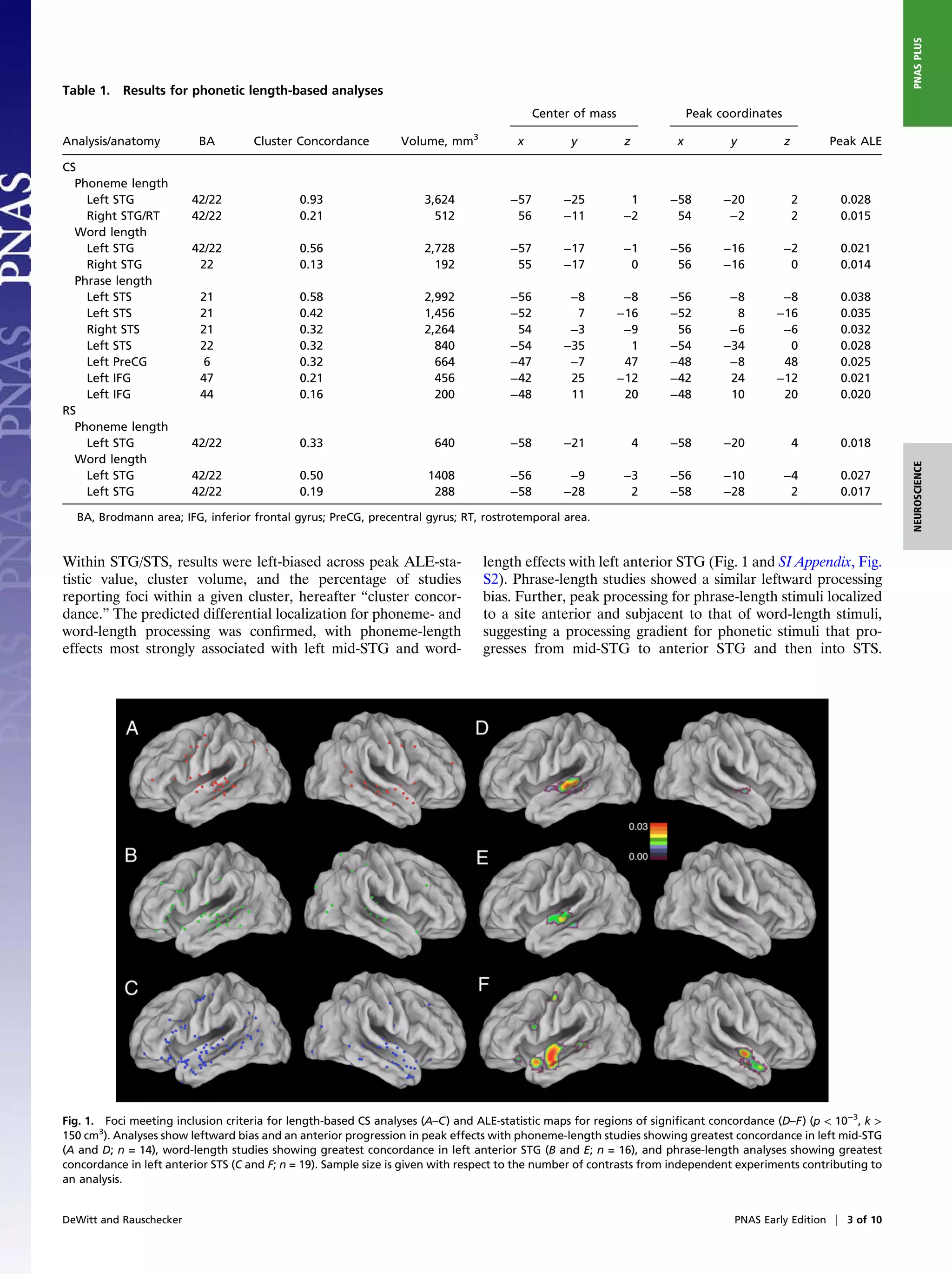 PNAS PLUS
Table 1. Results for phonetic length-based analyses
                                                                                            Center of mass                 Peak coordinates
                                                                              3
Analysis/anatomy          BA        Cluster Concordance         Volume, mm             x          y           z        x          y           z       Peak ALE

CS
  Phoneme length
    Left STG             42/22               0.93                    3,624            −57        −25          1       −58        −20              2    0.028
    Right STG/RT         42/22               0.21                      512             56        −11         −2        54         −2              2    0.015
  Word length
    Left STG             42/22               0.56                    2,728            −57        −17         −1       −56        −16          −2       0.021
    Right STG             22                 0.13                      192             55        −17          0        56        −16           0       0.014
  Phrase length
    Left STS              21                 0.58                    2,992            −56         −8          −8      −56         −8       −8          0.038
    Left STS              21                 0.42                    1,456            −52          7         −16      −52          8      −16          0.035
    Right STS             21                 0.32                    2,264             54         −3          −9       56         −6       −6          0.032
    Left STS              22                 0.32                      840            −54        −35           1      −54        −34        0          0.028
    Left PreCG             6                 0.32                      664            −47         −7          47      −48         −8       48          0.025
    Left IFG              47                 0.21                      456            −42         25         −12      −42         24      −12          0.021
    Left IFG              44                 0.16                      200            −48         11          20      −48         10       20          0.020
RS
  Phoneme length
    Left STG             42/22               0.33                      640            −58        −21              4   −58        −20              4    0.018
  Word length




                                                                                                                                                                  NEUROSCIENCE
    Left STG             42/22               0.50                     1408            −56         −9         −3       −56        −10          −4       0.027
    Left STG             42/22               0.19                      288            −58        −28          2       −58        −28           2       0.017

  BA, Brodmann area; IFG, inferior frontal gyrus; PreCG, precentral gyrus; RT, rostrotemporal area.



Within STG/STS, results were left-biased across peak ALE-sta-                     length effects with left anterior STG (Fig. 1 and SI Appendix, Fig.
tistic value, cluster volume, and the percentage of studies                       S2). Phrase-length studies showed a similar leftward processing
reporting foci within a given cluster, hereafter “cluster concor-                 bias. Further, peak processing for phrase-length stimuli localized
dance.” The predicted differential localization for phoneme- and                  to a site anterior and subjacent to that of word-length stimuli,
word-length processing was conﬁrmed, with phoneme-length                          suggesting a processing gradient for phonetic stimuli that pro-
effects most strongly associated with left mid-STG and word-                      gresses from mid-STG to anterior STG and then into STS.




Fig. 1. Foci meeting inclusion criteria for length-based CS analyses (A–C) and ALE-statistic maps for regions of signiﬁcant concordance (D–F) (p < 10−3, k >
150 cm3). Analyses show leftward bias and an anterior progression in peak effects with phoneme-length studies showing greatest concordance in left mid-STG
(A and D; n = 14), word-length studies showing greatest concordance in left anterior STG (B and E; n = 16), and phrase-length analyses showing greatest
concordance in left anterior STS (C and F; n = 19). Sample size is given with respect to the number of contrasts from independent experiments contributing to
an analysis.


DeWitt and Rauschecker                                                                                                             PNAS Early Edition | 3 of 10
 
