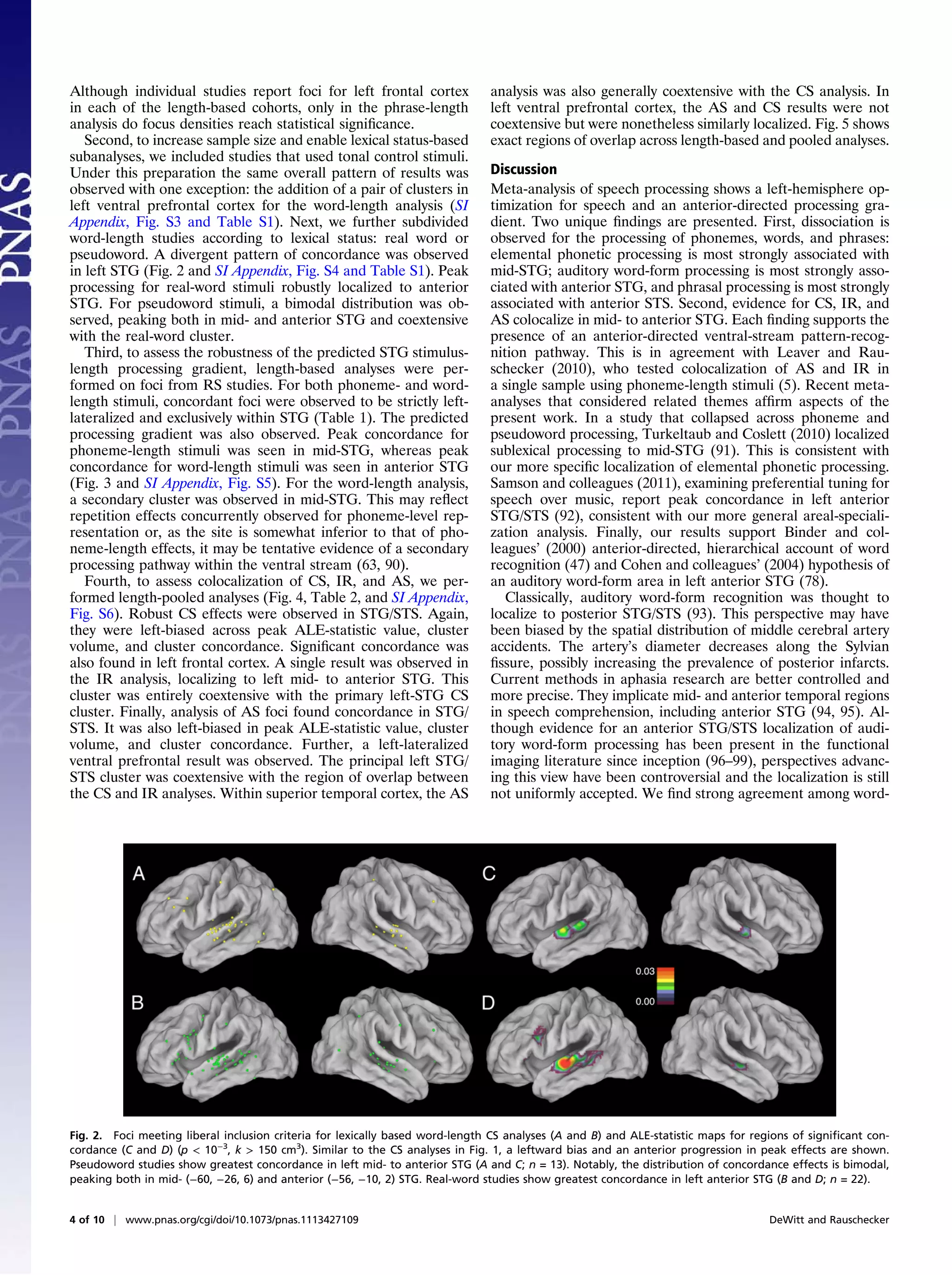 Although individual studies report foci for left frontal cortex                analysis was also generally coextensive with the CS analysis. In
in each of the length-based cohorts, only in the phrase-length                 left ventral prefrontal cortex, the AS and CS results were not
analysis do focus densities reach statistical signiﬁcance.                     coextensive but were nonetheless similarly localized. Fig. 5 shows
   Second, to increase sample size and enable lexical status-based             exact regions of overlap across length-based and pooled analyses.
subanalyses, we included studies that used tonal control stimuli.
Under this preparation the same overall pattern of results was                 Discussion
observed with one exception: the addition of a pair of clusters in             Meta-analysis of speech processing shows a left-hemisphere op-
left ventral prefrontal cortex for the word-length analysis (SI                timization for speech and an anterior-directed processing gra-
Appendix, Fig. S3 and Table S1). Next, we further subdivided                   dient. Two unique ﬁndings are presented. First, dissociation is
word-length studies according to lexical status: real word or                  observed for the processing of phonemes, words, and phrases:
pseudoword. A divergent pattern of concordance was observed                    elemental phonetic processing is most strongly associated with
in left STG (Fig. 2 and SI Appendix, Fig. S4 and Table S1). Peak               mid-STG; auditory word-form processing is most strongly asso-
processing for real-word stimuli robustly localized to anterior                ciated with anterior STG, and phrasal processing is most strongly
STG. For pseudoword stimuli, a bimodal distribution was ob-                    associated with anterior STS. Second, evidence for CS, IR, and
served, peaking both in mid- and anterior STG and coextensive                  AS colocalize in mid- to anterior STG. Each ﬁnding supports the
with the real-word cluster.                                                    presence of an anterior-directed ventral-stream pattern-recog-
   Third, to assess the robustness of the predicted STG stimulus-              nition pathway. This is in agreement with Leaver and Rau-
length processing gradient, length-based analyses were per-                    schecker (2010), who tested colocalization of AS and IR in
formed on foci from RS studies. For both phoneme- and word-                    a single sample using phoneme-length stimuli (5). Recent meta-
length stimuli, concordant foci were observed to be strictly left-             analyses that considered related themes afﬁrm aspects of the
lateralized and exclusively within STG (Table 1). The predicted                present work. In a study that collapsed across phoneme and
processing gradient was also observed. Peak concordance for                    pseudoword processing, Turkeltaub and Coslett (2010) localized
phoneme-length stimuli was seen in mid-STG, whereas peak                       sublexical processing to mid-STG (91). This is consistent with
concordance for word-length stimuli was seen in anterior STG                   our more speciﬁc localization of elemental phonetic processing.
(Fig. 3 and SI Appendix, Fig. S5). For the word-length analysis,               Samson and colleagues (2011), examining preferential tuning for
a secondary cluster was observed in mid-STG. This may reﬂect                   speech over music, report peak concordance in left anterior
repetition effects concurrently observed for phoneme-level rep-                STG/STS (92), consistent with our more general areal-speciali-
resentation or, as the site is somewhat inferior to that of pho-               zation analysis. Finally, our results support Binder and col-
neme-length effects, it may be tentative evidence of a secondary               leagues’ (2000) anterior-directed, hierarchical account of word
processing pathway within the ventral stream (63, 90).                         recognition (47) and Cohen and colleagues’ (2004) hypothesis of
   Fourth, to assess colocalization of CS, IR, and AS, we per-                 an auditory word-form area in left anterior STG (78).
formed length-pooled analyses (Fig. 4, Table 2, and SI Appendix,                  Classically, auditory word-form recognition was thought to
Fig. S6). Robust CS effects were observed in STG/STS. Again,                   localize to posterior STG/STS (93). This perspective may have
they were left-biased across peak ALE-statistic value, cluster                 been biased by the spatial distribution of middle cerebral artery
volume, and cluster concordance. Signiﬁcant concordance was                    accidents. The artery’s diameter decreases along the Sylvian
also found in left frontal cortex. A single result was observed in             ﬁssure, possibly increasing the prevalence of posterior infarcts.
the IR analysis, localizing to left mid- to anterior STG. This                 Current methods in aphasia research are better controlled and
cluster was entirely coextensive with the primary left-STG CS                  more precise. They implicate mid- and anterior temporal regions
cluster. Finally, analysis of AS foci found concordance in STG/                in speech comprehension, including anterior STG (94, 95). Al-
STS. It was also left-biased in peak ALE-statistic value, cluster              though evidence for an anterior STG/STS localization of audi-
volume, and cluster concordance. Further, a left-lateralized                   tory word-form processing has been present in the functional
ventral prefrontal result was observed. The principal left STG/                imaging literature since inception (96–99), perspectives advanc-
STS cluster was coextensive with the region of overlap between                 ing this view have been controversial and the localization is still
the CS and IR analyses. Within superior temporal cortex, the AS                not uniformly accepted. We ﬁnd strong agreement among word-




Fig. 2. Foci meeting liberal inclusion criteria for lexically based word-length CS analyses (A and B) and ALE-statistic maps for regions of signiﬁcant con-
cordance (C and D) (p < 10−3, k > 150 cm3). Similar to the CS analyses in Fig. 1, a leftward bias and an anterior progression in peak effects are shown.
Pseudoword studies show greatest concordance in left mid- to anterior STG (A and C; n = 13). Notably, the distribution of concordance effects is bimodal,
peaking both in mid- (−60, −26, 6) and anterior (−56, −10, 2) STG. Real-word studies show greatest concordance in left anterior STG (B and D; n = 22).


4 of 10 | www.pnas.org/cgi/doi/10.1073/pnas.1113427109                                                                              DeWitt and Rauschecker
 