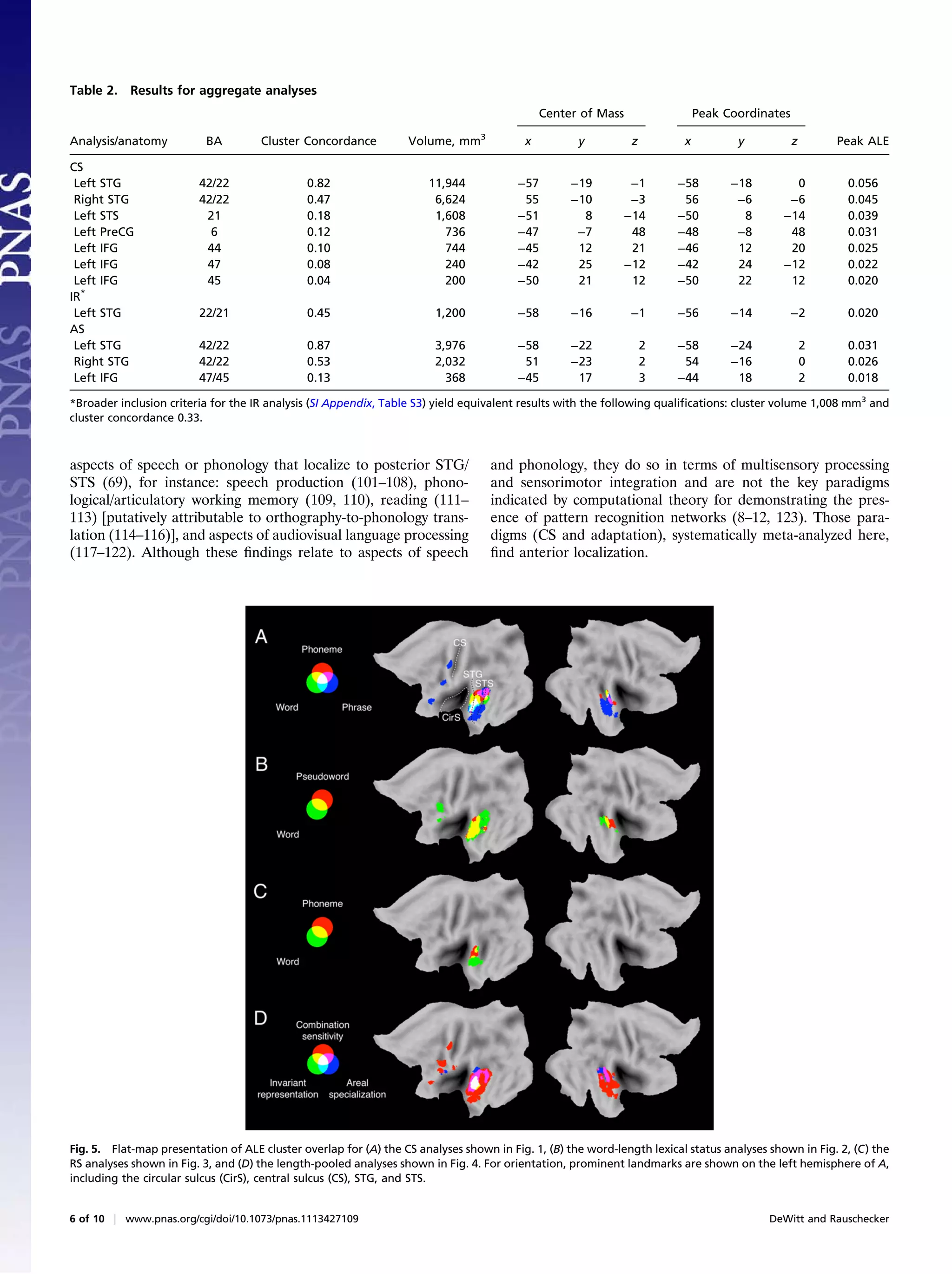 Table 2. Results for aggregate analyses
                                                                                              Center of Mass                 Peak Coordinates
                                                                                 3
Analysis/anatomy          BA         Cluster Concordance          Volume, mm              x         y          z         x          y           z       Peak ALE

CS
 Left STG                42/22                0.82                    11,944             −57       −19        −1        −58        −18         0         0.056
 Right STG               42/22                0.47                     6,624              55       −10        −3         56         −6        −6         0.045
 Left STS                 21                  0.18                     1,608             −51         8       −14        −50          8       −14         0.039
 Left PreCG                6                  0.12                       736             −47        −7        48        −48         −8        48         0.031
 Left IFG                 44                  0.10                       744             −45        12        21        −46         12        20         0.025
 Left IFG                 47                  0.08                       240             −42        25       −12        −42         24       −12         0.022
 Left IFG                 45                  0.04                       200             −50        21        12        −50         22        12         0.020
IR*
 Left STG                22/21                0.45                      1,200            −58       −16         −1       −56        −14        −2         0.020
AS
 Left STG                42/22                0.87                      3,976            −58       −22             2    −58        −24              2    0.031
 Right STG               42/22                0.53                      2,032             51       −23             2     54        −16              0    0.026
 Left IFG                47/45                0.13                        368            −45        17             3    −44         18              2    0.018

*Broader inclusion criteria for the IR analysis (SI Appendix, Table S3) yield equivalent results with the following qualiﬁcations: cluster volume 1,008 mm3 and
cluster concordance 0.33.



aspects of speech or phonology that localize to posterior STG/                       and phonology, they do so in terms of multisensory processing
STS (69), for instance: speech production (101–108), phono-                          and sensorimotor integration and are not the key paradigms
logical/articulatory working memory (109, 110), reading (111–                        indicated by computational theory for demonstrating the pres-
113) [putatively attributable to orthography-to-phonology trans-                     ence of pattern recognition networks (8–12, 123). Those para-
lation (114–116)], and aspects of audiovisual language processing                    digms (CS and adaptation), systematically meta-analyzed here,
(117–122). Although these ﬁndings relate to aspects of speech                        ﬁnd anterior localization.




Fig. 5. Flat-map presentation of ALE cluster overlap for (A) the CS analyses shown in Fig. 1, (B) the word-length lexical status analyses shown in Fig. 2, (C) the
RS analyses shown in Fig. 3, and (D) the length-pooled analyses shown in Fig. 4. For orientation, prominent landmarks are shown on the left hemisphere of A,
including the circular sulcus (CirS), central sulcus (CS), STG, and STS.


6 of 10 | www.pnas.org/cgi/doi/10.1073/pnas.1113427109                                                                                    DeWitt and Rauschecker
 