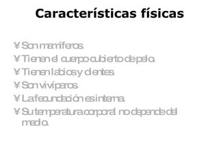 Características físicas Son mamíferos. Tienen el cuerpo cubierto de pelo. Tienen labios y dientes. Son vivíparos. La fecundación es interna. Su temperatura corporal no depende del medio.