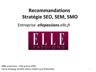 Recommandations  Stratégie SEO, SEM, SMO Entreprise : ellepassions .elle.fr   MBA e-business – ESG promo 2009 Lenny Assayag, Danièle Attias, Estelle Luce-Antoinette 