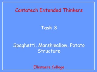Cantatech Extended Thinkers


            Task 3


Spaghetti, Marshmallow, Potato
           Structure


        Ellesmere College
 