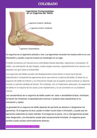 Un esguince es un ligamento estirado o roto. Los ligamentos conectan los huesos entre sí en una
articulación y ayudan a que los huesos se mantengan en su lugar.
El tobillo se lesiona con frecuencia en actividades diarias laborales, deportivas y recreativas. El
tobillo, una articulación de tipo bisagra, recibe cargas enormes, especialmente en la carrera o en
deportes con giro sobre la extremidad.
Los esguinces del tobillo resultan del desplazamiento hacia dentro o hacia fuera del pie,
distendiendo o rompiendo los ligamentos de la cara interna o externa del tobillo. El dolor de un
esguince de tobillo es intenso y con frecuencia impide que el jugador pueda practicar su deporte
durante un periodo variable de tiempo. Sin embargo, con un tratamiento adecuado, los esguinces
de tobillo en la mayoría de los casos curan rápidamente y no se convierten en un problema
crónico.
Las características de un esguince de tobillo suelen ser: dolor o sensibilidad al tacto, hinchazón,
formación de moretones, incapacidad para caminar o sostener peso apoyándose en la
articulación y rigidez.
La gravedad de un esguince de tobillo depende de qué tanto se estiraron o desgarraron los
ligamentos. Si el esguince es leve, puede no haber mucho dolor o hinchazón, y puede que los
ligamentos solamente se hayan estirado. Si el esguince es grave, uno o más ligamentos puede
estar desgarrado, y la articulación puede estar excesivamente hinchada. Un esguince grave
también puede resultar extremadamente doloroso.
 