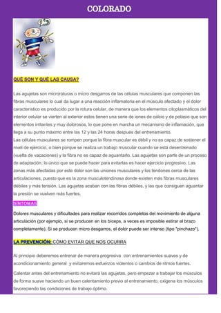 Las agujetas son microroturas o micro desgarros de las células musculares que componen las
fibras musculares lo cual da lugar a una reacción inflamatoria en el músculo afectado y el dolor
característico es producido por la rotura celular, de manera que los elementos citoplasmáticos del
interior celular se vierten al exterior estos tienen una serie de iones de calcio y de potasio que son
elementos irritantes y muy dolorosos, lo que pone en marcha un mecanismo de inflamación, que
llega a su punto máximo entre las 12 y las 24 horas después del entrenamiento.
Las células musculares se rompen porque la fibra muscular es débil y no es capaz de sostener el
nivel de ejercicio, o bien porque se realiza un trabajo muscular cuando se está desentrenado
(vuelta de vacaciones) y la fibra no es capaz de aguantarlo. Las agujetas son parte de un proceso
de adaptación, lo único que se puede hacer para evitarlas es hacer ejercicio progresivo. Las
zonas más afectadas por este dolor son las uniones musculares y los tendones cerca de las
articulaciones, puesto que es la zona musculotendinosa donde existen más fibras musculares
débiles y más tensión. Las agujetas acaban con las fibras débiles, y las que consiguen aguantar
la presión se vuelven más fuertes.
Dolores musculares y dificultades para realizar recorridos completos del movimiento de alguna
articulación (por ejemplo, si se producen en los bíceps, a veces es imposible estirar el brazo
completamente). Si se producen micro desgarros, el dolor puede ser intenso (tipo "pinchazo").
CÓMO EVITAR QUE NOS OCURRA
Al principio deberemos entrenar de manera progresiva con entrenamientos suaves y de
acondicionamiento general y evitaremos esfuerzos violentos o cambios de ritmos fuertes.
Calentar antes del entrenamiento no evitará las agujetas, pero empezar a trabajar los músculos
de forma suave haciendo un buen calentamiento previo al entrenamiento, oxigena los músculos
favoreciendo las condiciones de trabajo óptimo.
 