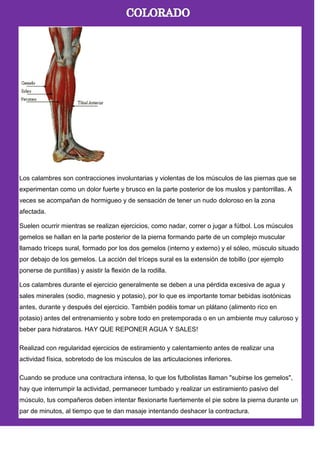 Los calambres son contracciones involuntarias y violentas de los músculos de las piernas que se
experimentan como un dolor fuerte y brusco en la parte posterior de los muslos y pantorrillas. A
veces se acompañan de hormigueo y de sensación de tener un nudo doloroso en la zona
afectada.
Suelen ocurrir mientras se realizan ejercicios, como nadar, correr o jugar a fútbol. Los músculos
gemelos se hallan en la parte posterior de la pierna formando parte de un complejo muscular
llamado tríceps sural, formado por los dos gemelos (interno y externo) y el sóleo, músculo situado
por debajo de los gemelos. La acción del tríceps sural es la extensión de tobillo (por ejemplo
ponerse de puntillas) y asistir la flexión de la rodilla.
Los calambres durante el ejercicio generalmente se deben a una pérdida excesiva de agua y
sales minerales (sodio, magnesio y potasio), por lo que es importante tomar bebidas isotónicas
antes, durante y después del ejercicio. También podéis tomar un plátano (alimento rico en
potasio) antes del entrenamiento y sobre todo en pretemporada o en un ambiente muy caluroso y
beber para hidrataros. HAY QUE REPONER AGUA Y SALES!
Realizad con regularidad ejercicios de estiramiento y calentamiento antes de realizar una
actividad física, sobretodo de los músculos de las articulaciones inferiores.
Cuando se produce una contractura intensa, lo que los futbolistas llaman "subirse los gemelos",
hay que interrumpir la actividad, permanecer tumbado y realizar un estiramiento pasivo del
músculo, tus compañeros deben intentar flexionarte fuertemente el pie sobre la pierna durante un
par de minutos, al tiempo que te dan masaje intentando deshacer la contractura.
 