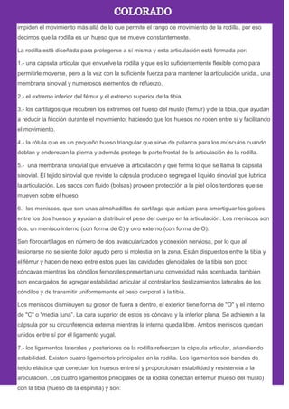 impiden el movimiento más allá de lo que permite el rango de movimiento de la rodilla. por eso
decimos que la rodilla es un hueso que se mueve constantemente.
La rodilla está diseñada para protegerse a sí misma y esta articulación está formada por:
1.- una cápsula articular que envuelve la rodilla y que es lo suficientemente flexible como para
permitirle moverse, pero a la vez con la suficiente fuerza para mantener la articulación unida., una
membrana sinovial y numerosos elementos de refuerzo.
2.- el extremo inferior del fémur y el extremo superior de la tibia.
3.- los cartílagos que recubren los extremos del hueso del muslo (fémur) y de la tibia, que ayudan
a reducir la fricción durante el movimiento, haciendo que los huesos no rocen entre si y facilitando
el movimiento.
4.- la rótula que es un pequeño hueso triangular que sirve de palanca para los músculos cuando
doblan y enderezan la pierna y además protege la parte frontal de la articulación de la rodilla.
5.- una membrana sinovial que envuelve la articulación y que forma lo que se llama la cápsula
sinovial. El tejido sinovial que reviste la cápsula produce o segrega el líquido sinovial que lubrica
la articulación. Los sacos con fluido (bolsas) proveen protección a la piel o los tendones que se
mueven sobre el hueso.
6.- los meniscos, que son unas almohadillas de cartílago que actúan para amortiguar los golpes
entre los dos huesos y ayudan a distribuir el peso del cuerpo en la articulación. Los meniscos son
dos, un menisco interno (con forma de C) y otro externo (con forma de O).
Son fibrocartílagos en número de dos avascularizados y conexión nerviosa, por lo que al
lesionarse no se siente dolor agudo pero si molestia en la zona. Están dispuestos entre la tibia y
el fémur y hacen de nexo entre estos pues las cavidades glenoidales de la tibia son poco
cóncavas mientras los cóndilos femorales presentan una convexidad más acentuada, también
son encargados de agregar estabilidad articular al controlar los deslizamientos laterales de los
cóndilos y de transmitir uniformemente el peso corporal a la tibia.
Los meniscos disminuyen su grosor de fuera a dentro, el exterior tiene forma de "O" y el interno
de "C" o "media luna‖. La cara superior de estos es cóncava y la inferior plana. Se adhieren a la
cápsula por su circunferencia externa mientras la interna queda libre. Ambos meniscos quedan
unidos entre sí por el ligamento yugal.
7.- los ligamentos laterales y posteriores de la rodilla refuerzan la cápsula articular, añandiendo
estabilidad. Existen cuatro ligamentos principales en la rodilla. Los ligamentos son bandas de
tejido elástico que conectan los huesos entre sí y proporcionan estabilidad y resistencia a la
articulación. Los cuatro ligamentos principales de la rodilla conectan el fémur (hueso del muslo)
con la tibia (hueso de la espinilla) y son:
 