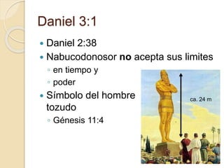 Daniel 3:1 
 Daniel 2:38 
 Nabucodonosor no acepta sus limites 
◦ en tiempo y 
◦ poder 
 Símbolo del hombre 
tozudo 
◦ Génesis 11:4 
ca. 24 m 
 
