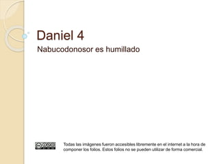 Daniel 4 
Nabucodonosor es humillado 
Todas las imágenes fueron accesibles libremente en el internet a la hora de 
componer los folios. Estos folios no se pueden utilizar de forma comercial. 
 