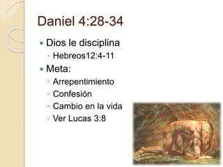 Daniel 4:28-34 
 Dios le disciplina 
◦ Hebreos12:4-11 
 Meta: 
◦ Arrepentimiento 
◦ Confesión 
◦ Cambio en la vida 
◦ Ver Lucas 3:8 
 
