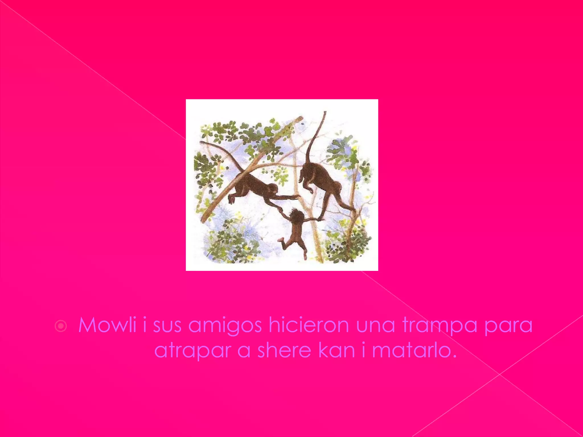 Mowli i susamigoshicieron una trampa para atrapar a sherekan i matarlo.