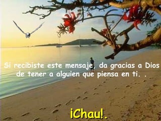 Si recibiste este mensaje, da gracias a Dios de tener a alguien que piensa en ti. . ¡Chau!. 