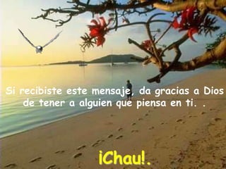 Si recibiste este mensaje, da gracias a Dios
    de tener a alguien que piensa en ti. .




                  ¡Chau!.
 