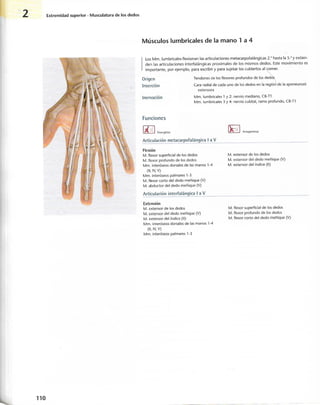 “EL LIBRO DE LOS MUSCULOS-VALERIUS” .pdf