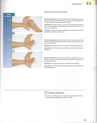 “EL LIBRO DE LOS MUSCULOS-VALERIUS” .pdf