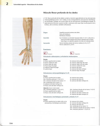 “EL LIBRO DE LOS MUSCULOS-VALERIUS” .pdf