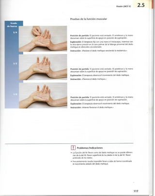 “EL LIBRO DE LOS MUSCULOS-VALERIUS” .pdf