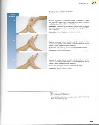 “EL LIBRO DE LOS MUSCULOS-VALERIUS” .pdf