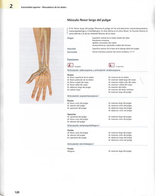 “EL LIBRO DE LOS MUSCULOS-VALERIUS” .pdf