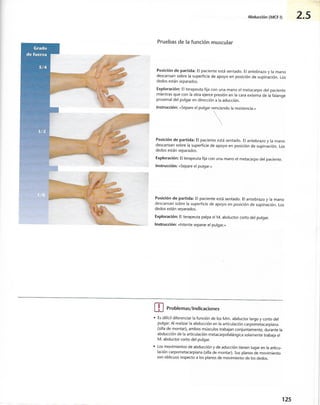 “EL LIBRO DE LOS MUSCULOS-VALERIUS” .pdf