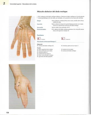 “EL LIBRO DE LOS MUSCULOS-VALERIUS” .pdf