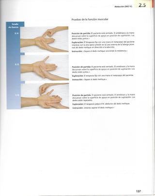 “EL LIBRO DE LOS MUSCULOS-VALERIUS” .pdf