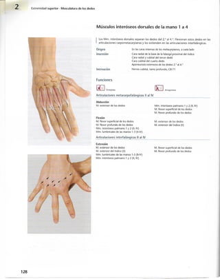 “EL LIBRO DE LOS MUSCULOS-VALERIUS” .pdf