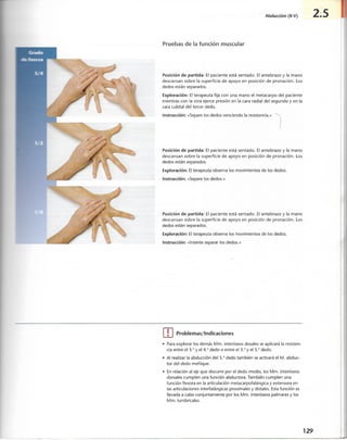 “EL LIBRO DE LOS MUSCULOS-VALERIUS” .pdf