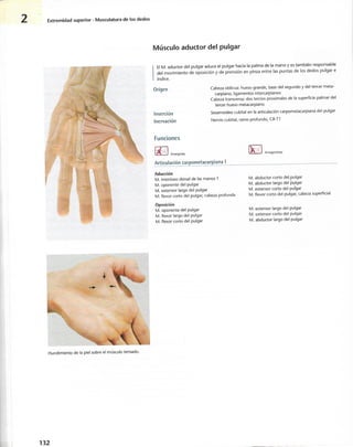 “EL LIBRO DE LOS MUSCULOS-VALERIUS” .pdf