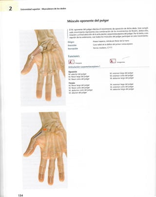 “EL LIBRO DE LOS MUSCULOS-VALERIUS” .pdf