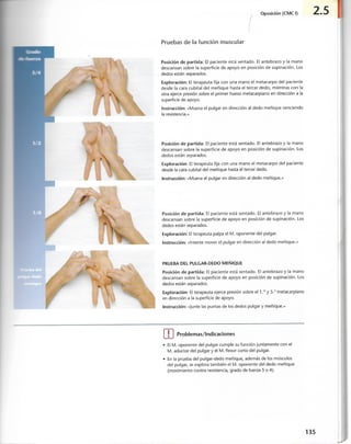 “EL LIBRO DE LOS MUSCULOS-VALERIUS” .pdf