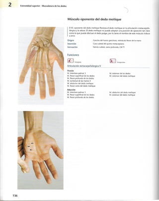 “EL LIBRO DE LOS MUSCULOS-VALERIUS” .pdf