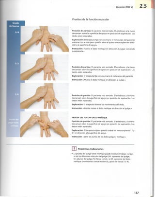 “EL LIBRO DE LOS MUSCULOS-VALERIUS” .pdf