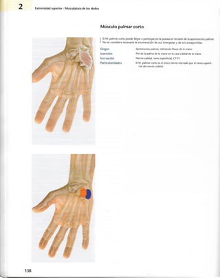 “EL LIBRO DE LOS MUSCULOS-VALERIUS” .pdf