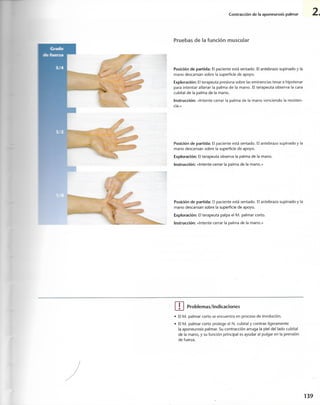 “EL LIBRO DE LOS MUSCULOS-VALERIUS” .pdf