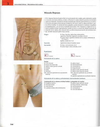 “EL LIBRO DE LOS MUSCULOS-VALERIUS” .pdf