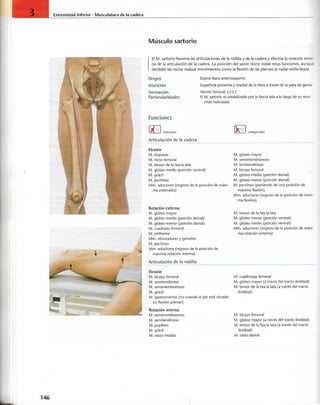“EL LIBRO DE LOS MUSCULOS-VALERIUS” .pdf