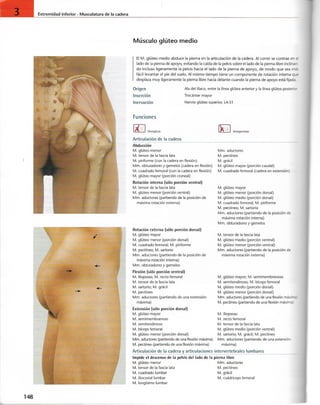 “EL LIBRO DE LOS MUSCULOS-VALERIUS” .pdf