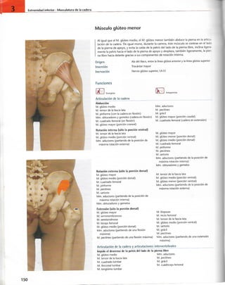 “EL LIBRO DE LOS MUSCULOS-VALERIUS” .pdf