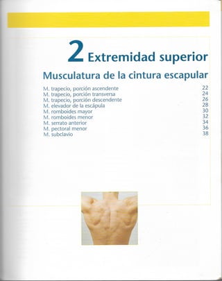 “EL LIBRO DE LOS MUSCULOS-VALERIUS” .pdf