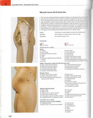 “EL LIBRO DE LOS MUSCULOS-VALERIUS” .pdf