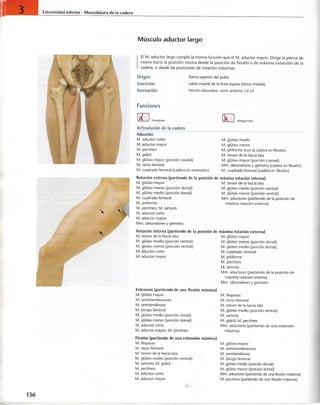 “EL LIBRO DE LOS MUSCULOS-VALERIUS” .pdf