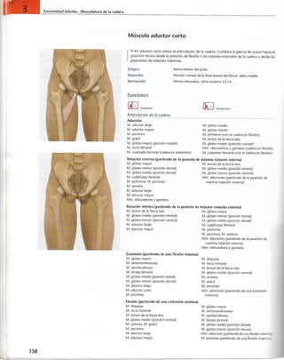 “EL LIBRO DE LOS MUSCULOS-VALERIUS” .pdf