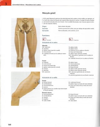 “EL LIBRO DE LOS MUSCULOS-VALERIUS” .pdf