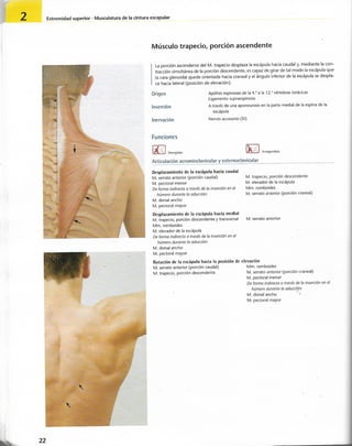 “EL LIBRO DE LOS MUSCULOS-VALERIUS” .pdf