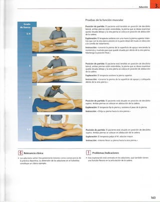 “EL LIBRO DE LOS MUSCULOS-VALERIUS” .pdf