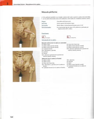 “EL LIBRO DE LOS MUSCULOS-VALERIUS” .pdf