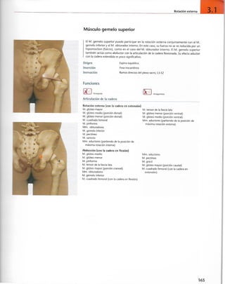 “EL LIBRO DE LOS MUSCULOS-VALERIUS” .pdf