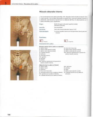 “EL LIBRO DE LOS MUSCULOS-VALERIUS” .pdf