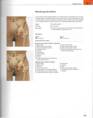 “EL LIBRO DE LOS MUSCULOS-VALERIUS” .pdf